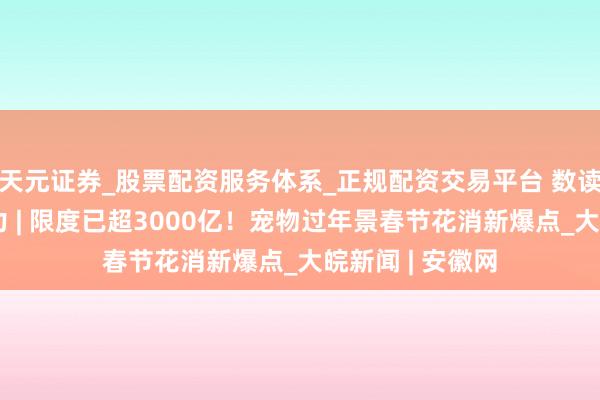 天元证券_股票配资服务体系_正规配资交易平台 数读中国开局新活力 | 限度已超3000亿！宠物过年景春节花消新爆点_大皖新闻 | 安徽网