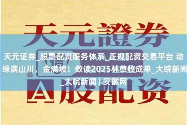 天元证券_股票配资服务体系_正规配资交易平台 动态海报丨绿满山川，金满坡！数读2025林草收成单_大皖新闻 | 安徽网