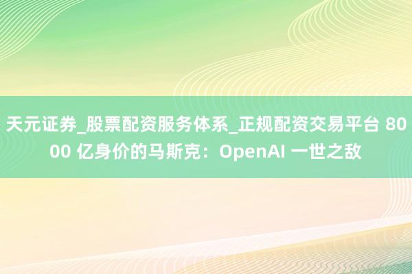 天元证券_股票配资服务体系_正规配资交易平台 8000 亿身价的马斯克：OpenAI 一世之敌