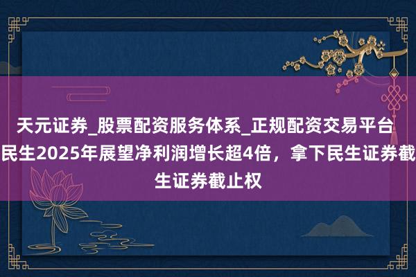 天元证券_股票配资服务体系_正规配资交易平台 国联民生2025年展望净利润增长超4倍，拿下民生证券截止权